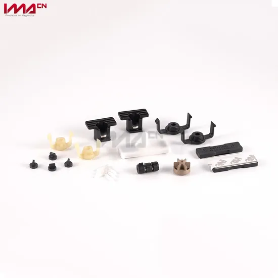 Customized Corrosion Resistance Motor Plastic Moulded Ferrite/Neodymium Magnet 