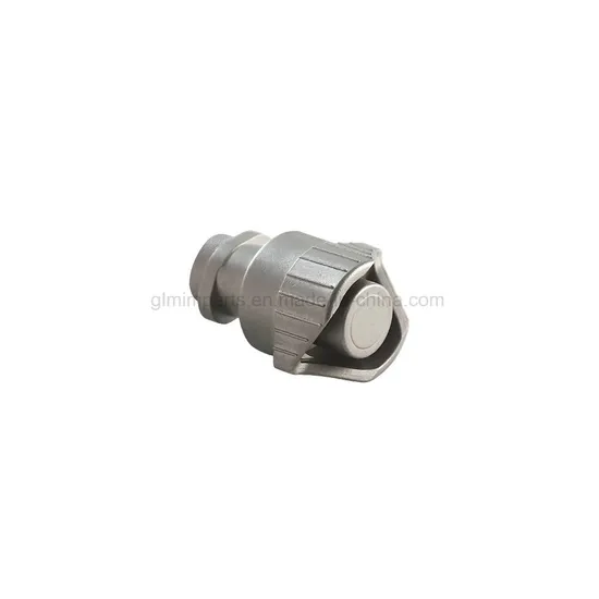 Stainless Steel Powder Metal Injection Molding Custom Parts Sintering MIM Metal Parts SUS304 SUS 316 SUS17
