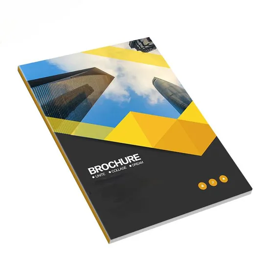 Direct Sales Promotional Materials Book Flyer Booklet Brochure Catalog Brochure 